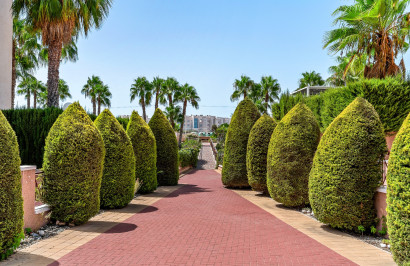 Resale - Apartment / Flat - Orihuela Costa - Playa Flamenca