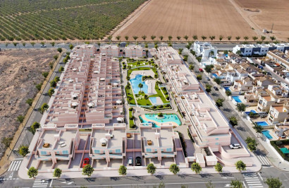 New Build - Apartment / Flat - Pilar de la Horadada - Lo Monte