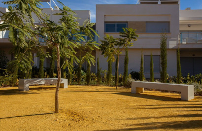 New Build - Apartment / Flat - Orihuela - Entre Naranjos