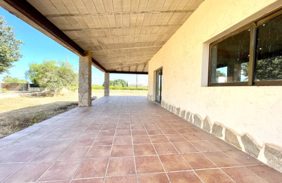Resale - Finca / Country Property - Elche - Matola