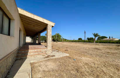 Resale - Finca / Country Property - Elche - Matola