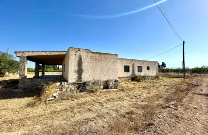Resale - Finca / Country Property - Elche - Matola