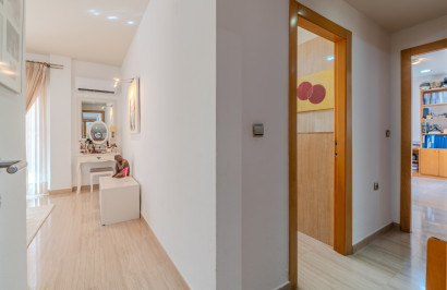 Reventa - Finca / Propiedad de Campo - Almoradí