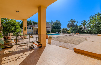 Reventa - Finca / Propiedad de Campo - Almoradí