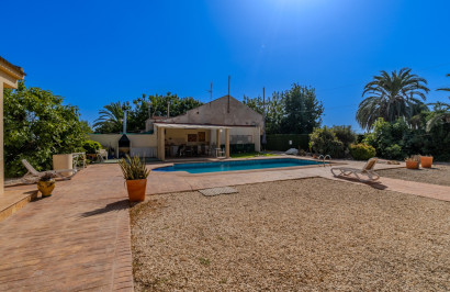 Reventa - Finca / Propiedad de Campo - Almoradí