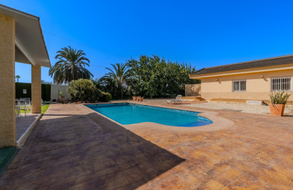 Reventa - Finca / Propiedad de Campo - Almoradí