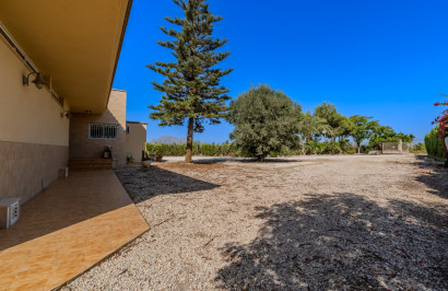 Reventa - Finca / Propiedad de Campo - Almoradí
