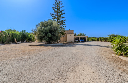 Reventa - Finca / Propiedad de Campo - Almoradí