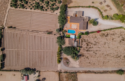 Reventa - Finca / Propiedad de Campo - Almoradí