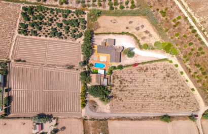 Reventa - Finca / Propiedad de Campo - Almoradí