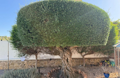 Herverkoop - Vrijstaande villa - San Miguel de Salinas