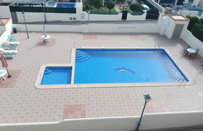 Resale - Apartment / Flat - Los Montesinos - Urbanizacion montesol