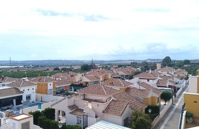 Resale - Apartment / Flat - Los Montesinos - Urbanizacion montesol