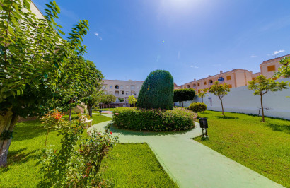 Reventa - Apartamento / Piso - Torrevieja - Playa del Acequión