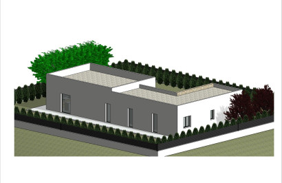 New Build - Detached Villa - Pinoso - Lel