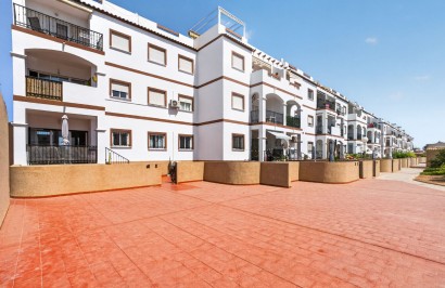 Revente - Appartement - Punta Prima