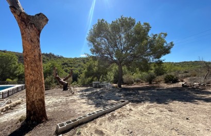 Revente - Finca / Propriété de campagne - Torremendo