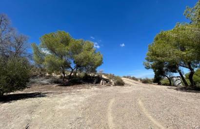 Revente - Finca / Propriété de campagne - Torremendo