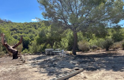 Revente - Finca / Propriété de campagne - Torremendo