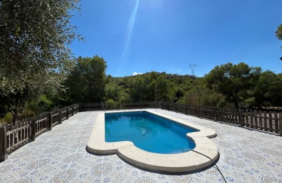 Revente - Finca / Propriété de campagne - Torremendo