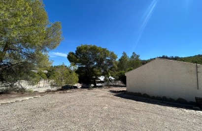 Revente - Finca / Propriété de campagne - Torremendo