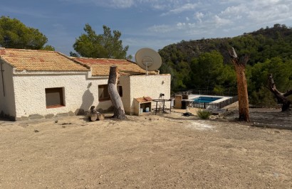 Revente - Finca / Propriété de campagne - Torremendo