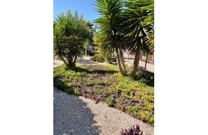 Resale - Apartment / Flat - Orihuela