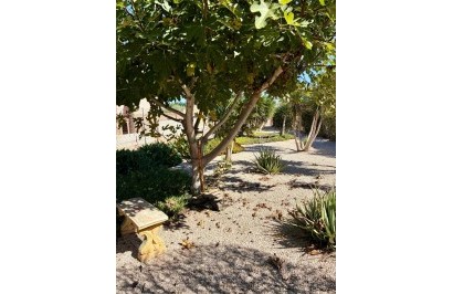 Resale - Apartment / Flat - Orihuela