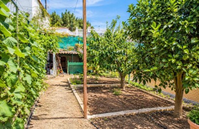 Resale - Detached Villa - San Miguel de Salinas - Ciudad De Las Comunicaciones