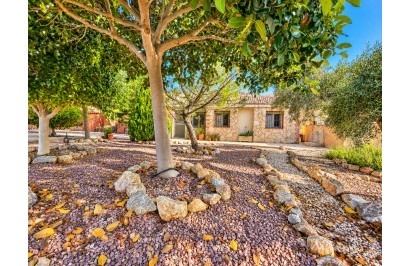 Resale - Finca / Country Property - Crevillente