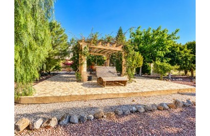 Resale - Finca / Country Property - Crevillente