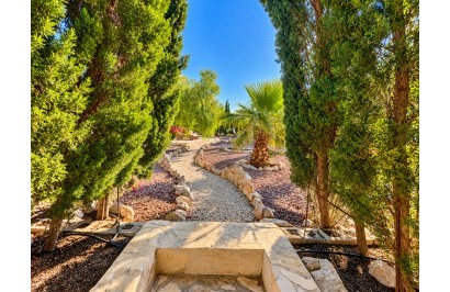 Resale - Finca / Country Property - Crevillente