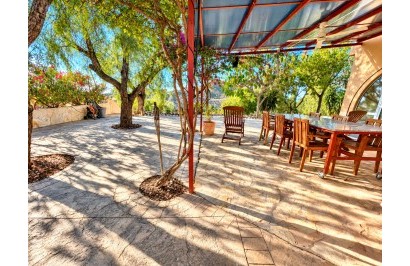 Resale - Finca / Country Property - Crevillente