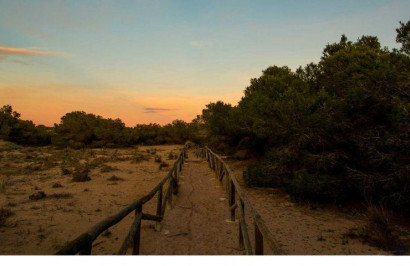 Obra nueva - Villa independiente - La Marina - La Marina / El Pinet