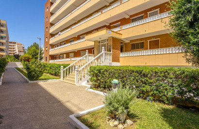 Revente - Appartement - Punta Prima