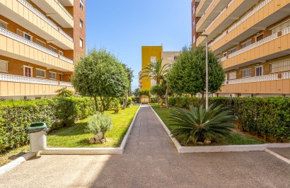 Revente - Appartement - Punta Prima