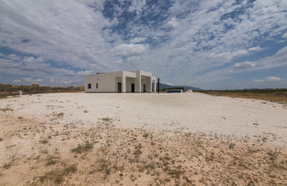 Obra nueva - Villa independiente - Pinoso - Campo