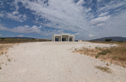 Obra nueva - Villa independiente - Pinoso - Campo