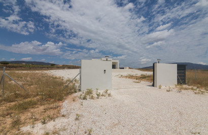 Obra nueva - Villa independiente - Pinoso - Campo