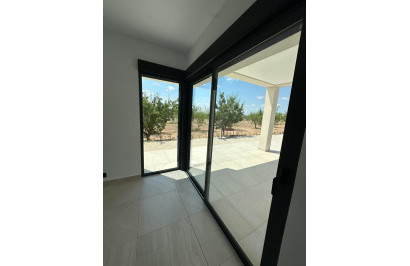 Nouvelle construction - Villa Individuelle - Pinoso - Campo