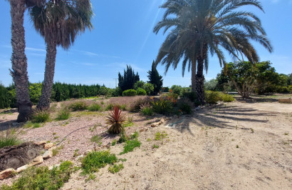 Revente - Finca / Propriété de campagne - San Miguel de Salinas