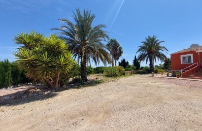 Revente - Finca / Propriété de campagne - San Miguel de Salinas