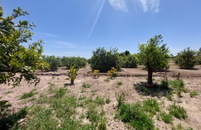 Revente - Finca / Propriété de campagne - San Miguel de Salinas