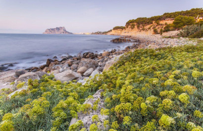 Obra nueva - Villa independiente - Benissa - Cala Advocat