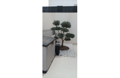 Resale - Detached Villa - Algorfa - La Finca Golf