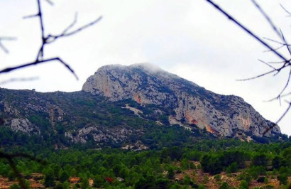 New Build - Detached Villa - La Romana - Batistes