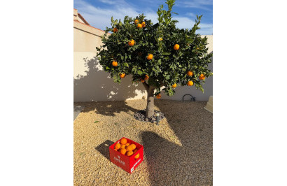 Reventa - Villa independiente - Ciudad Quesada