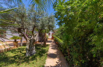 Resale - Detached Villa - Orihuela Costa - Punta Prima