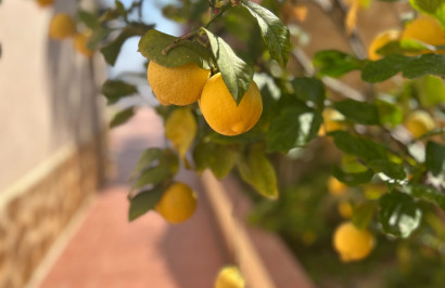 Herverkoop - Vrijstaande villa - Algorfa - Lomas de Juliana